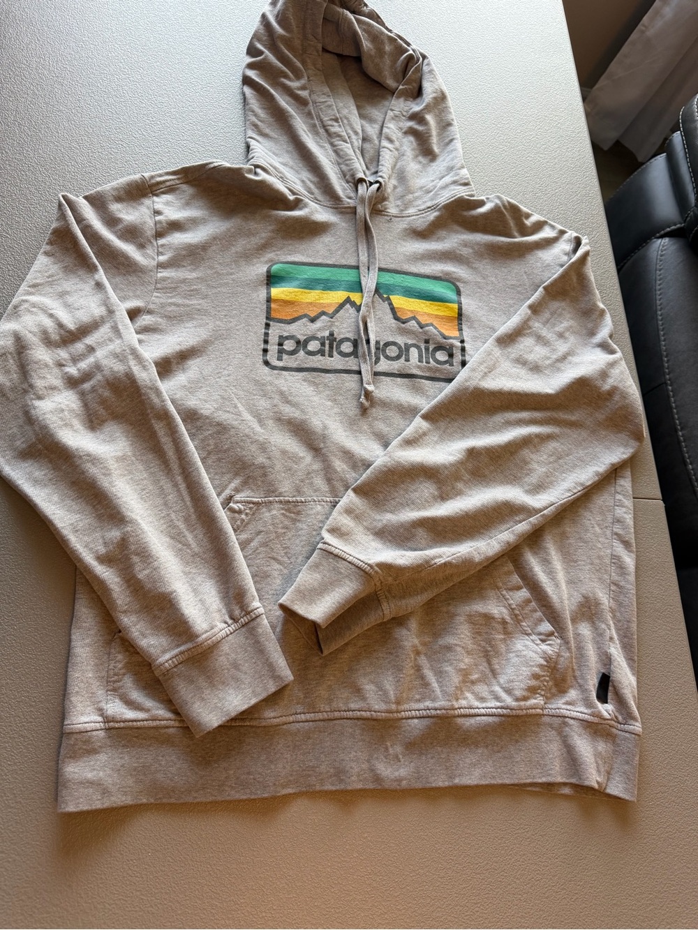 Patagonia  Light gray Pullover Hoodie with Mountain Logo men’s size Medium
